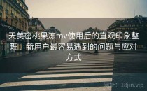 天美密桃果冻mv使用后的直观印象整理：新用户最容易遇到的问题与应对方式