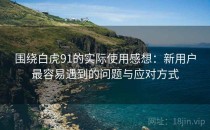 围绕白虎91的实际使用感想：新用户最容易遇到的问题与应对方式
