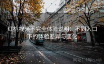 红桃视频不完全体验说明：不同入口下的体验差异与变化