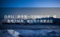 白虎91｜新手第一次接触的记录：哪些地方好用，哪些地方需要适应