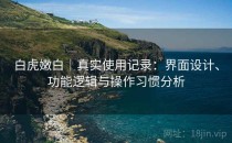 白虎嫩白｜真实使用记录：界面设计、功能逻辑与操作习惯分析