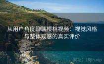 从用户角度聊聊樱桃视频：视觉风格与整体观感的真实评价