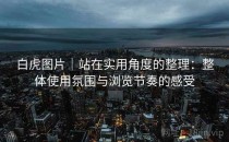 白虎图片｜站在实用角度的整理：整体使用氛围与浏览节奏的感受