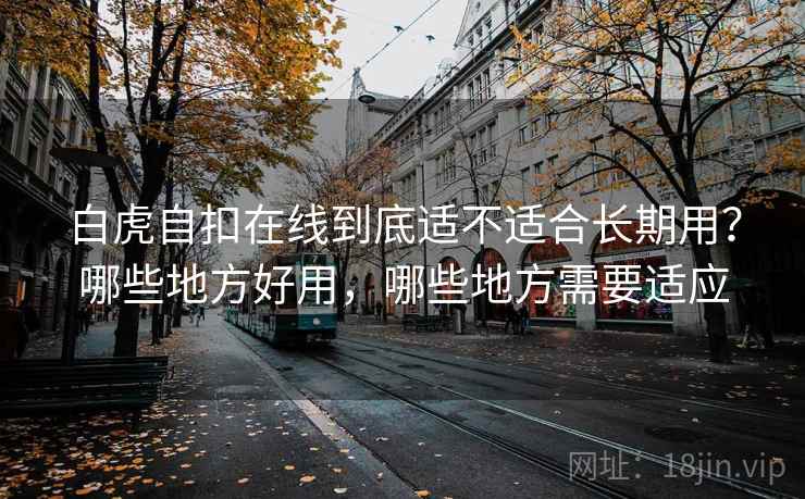 白虎自扣在线到底适不适合长期用?哪些地方好用,哪些地方需要适应 第2张 白虎自扣在线到底适不适合长期用?哪些地方好用,哪些地方需要适应 第2张