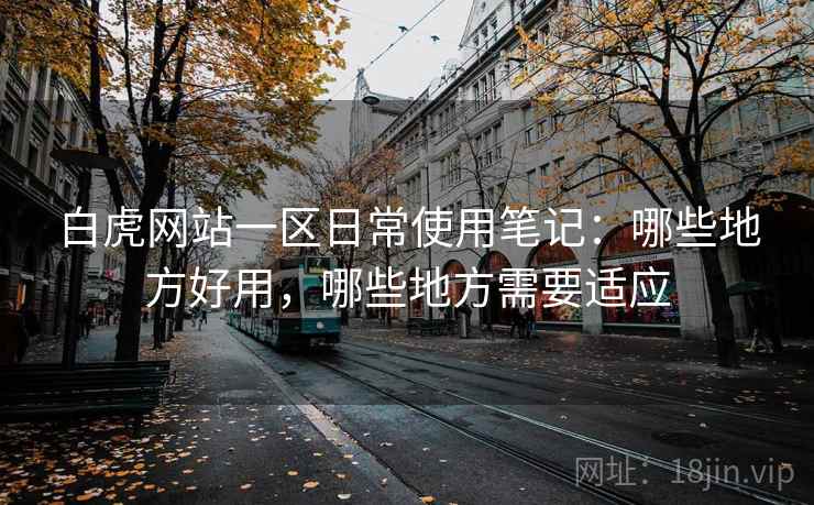白虎网站一区日常使用笔记：哪些地方好用，哪些地方需要适应  第2张