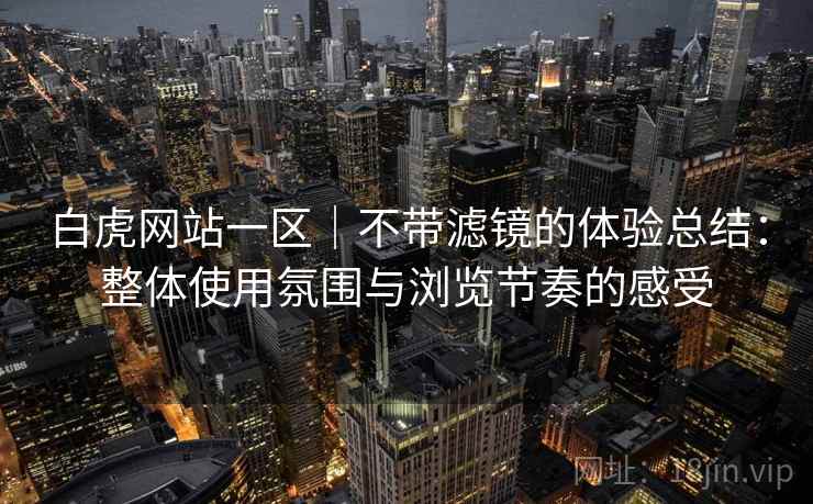 白虎网站一区｜不带滤镜的体验总结：整体使用氛围与浏览节奏的感受  第2张