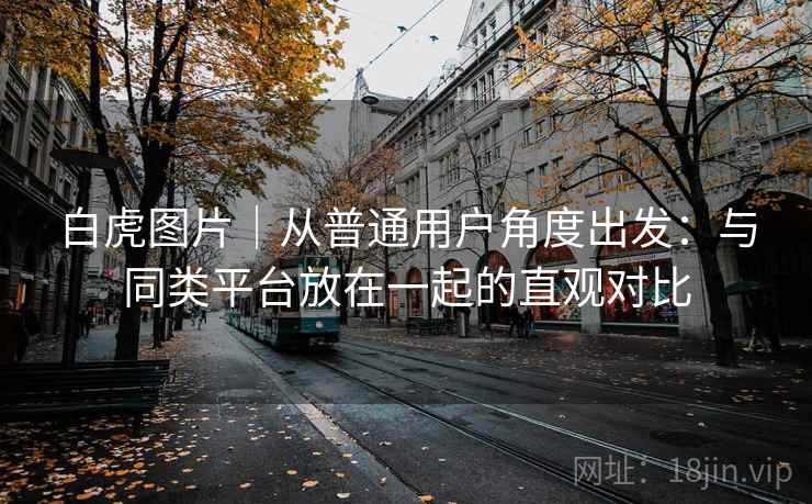 白虎图片｜从普通用户角度出发：与同类平台放在一起的直观对比  第1张