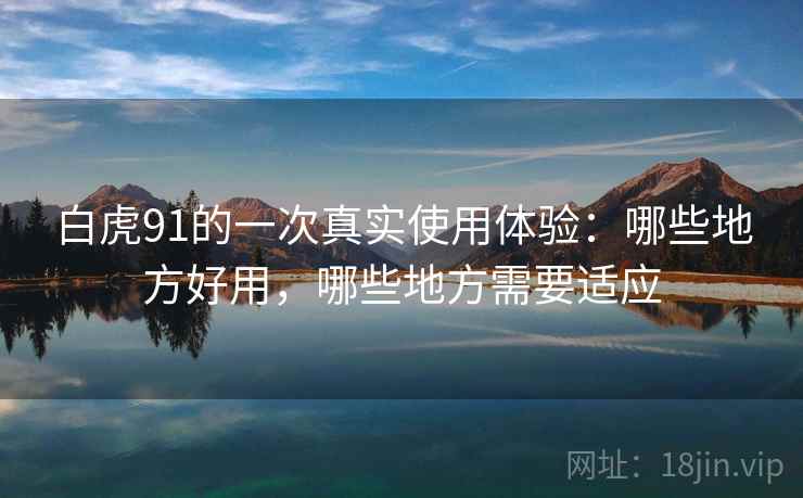 白虎91的一次真实使用体验:哪些地方好用,哪些地方需要适应 第2张 白虎91的一次真实使用体验:哪些地方好用,哪些地方需要适应 第2张