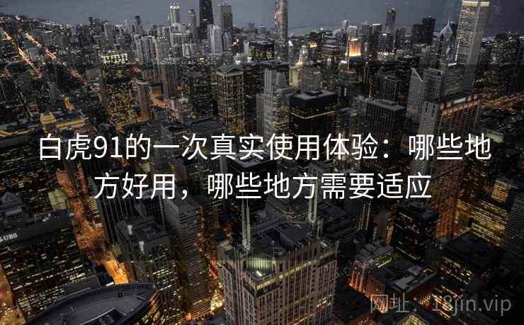 白虎91的一次真实使用体验:哪些地方好用,哪些地方需要适应 第1张 白虎91的一次真实使用体验:哪些地方好用,哪些地方需要适应 第1张