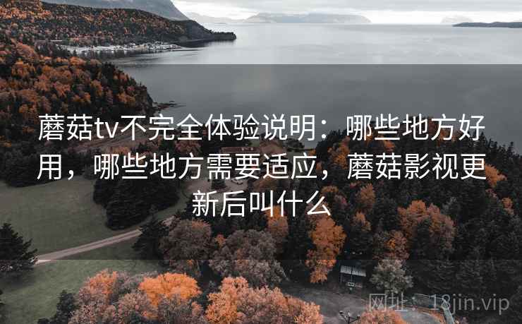 蘑菇tv不完全体验说明:哪些地方好用,哪些地方需要适应,蘑菇影视更新后叫什么 第2张 蘑菇tv不完全体验说明:哪些地方好用,哪些地方需要适应,蘑菇影视更新后叫什么 第2张