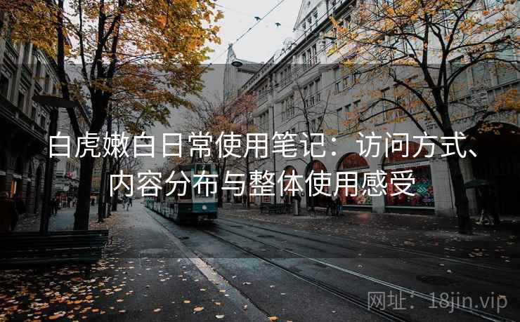 白虎嫩白日常使用笔记：访问方式、内容分布与整体使用感受  第1张