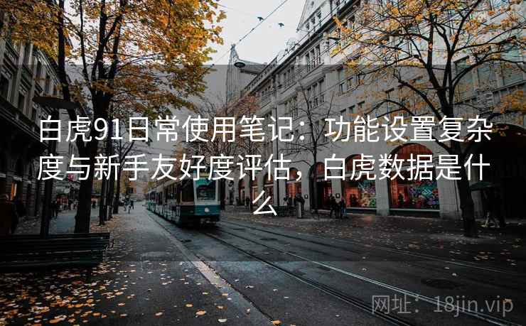 白虎91日常使用笔记:功能设置复杂度与新手友好度评估,白虎数据是什么 第1张 白虎91日常使用笔记:功能设置复杂度与新手友好度评估,白虎数据是什么 第1张