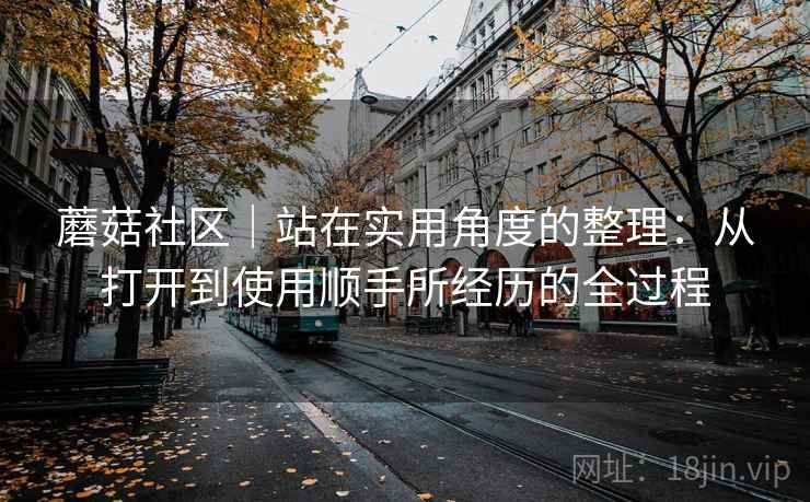 蘑菇社区|站在实用角度的整理:从打开到使用顺手所经历的全过程 第2张 蘑菇社区|站在实用角度的整理:从打开到使用顺手所经历的全过程 第2张