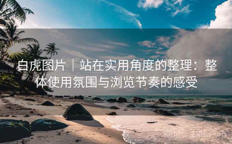 白虎图片|站在实用角度的整理:整体使用氛围与浏览节奏的感受 第2张 白虎图片|站在实用角度的整理:整体使用氛围与浏览节奏的感受 第2张