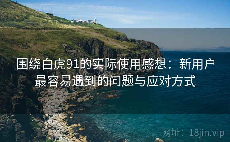 围绕白虎91的实际使用感想:新用户最容易遇到的问题与应对方式 第1张 围绕白虎91的实际使用感想:新用户最容易遇到的问题与应对方式 第1张
