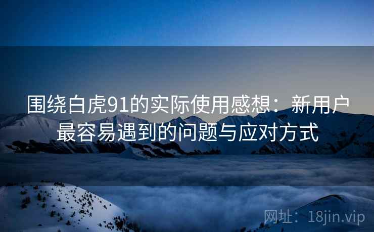围绕白虎91的实际使用感想:新用户最容易遇到的问题与应对方式 第2张 围绕白虎91的实际使用感想:新用户最容易遇到的问题与应对方式 第2张