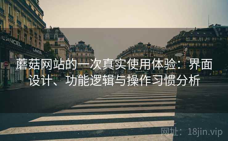 蘑菇网站的一次真实使用体验：界面设计、功能逻辑与操作习惯分析  第2张