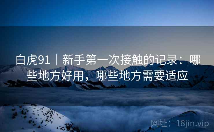 白虎91|新手第一次接触的记录:哪些地方好用,哪些地方需要适应 第1张 白虎91|新手第一次接触的记录:哪些地方好用,哪些地方需要适应 第1张