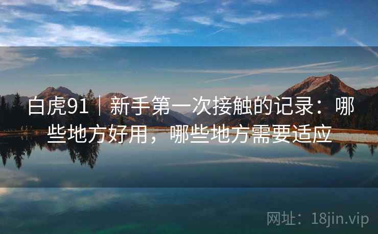 白虎91|新手第一次接触的记录:哪些地方好用,哪些地方需要适应 第2张 白虎91|新手第一次接触的记录:哪些地方好用,哪些地方需要适应 第2张
