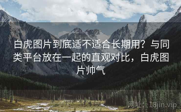 白虎图片到底适不适合长期用?与同类平台放在一起的直观对比,白虎图片帅气 第1张 白虎图片到底适不适合长期用?与同类平台放在一起的直观对比,白虎图片帅气 第1张