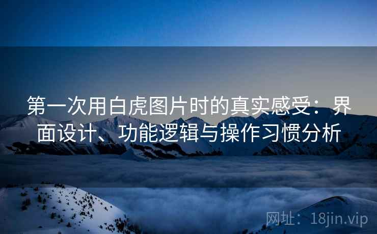 第一次用白虎图片时的真实感受:界面设计、功能逻辑与操作习惯分析 第2张 第一次用白虎图片时的真实感受:界面设计、功能逻辑与操作习惯分析 第2张