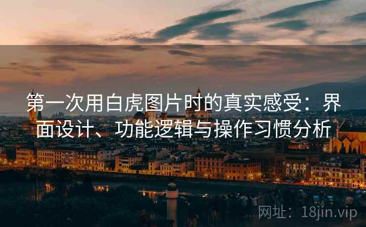 第一次用白虎图片时的真实感受:界面设计、功能逻辑与操作习惯分析 第1张 第一次用白虎图片时的真实感受:界面设计、功能逻辑与操作习惯分析 第1张